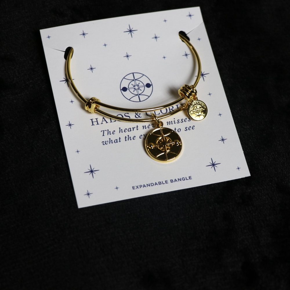 HALOS & GLORIES Compass LOGO - Picture 3 of 6